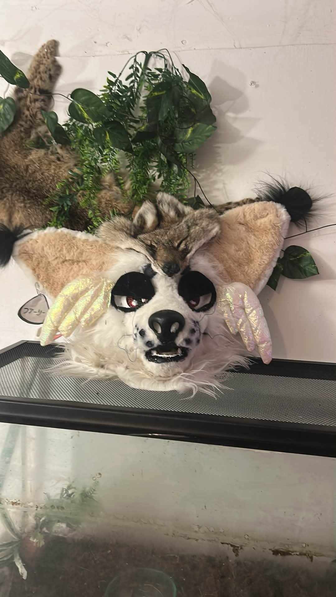 Fursuit AA